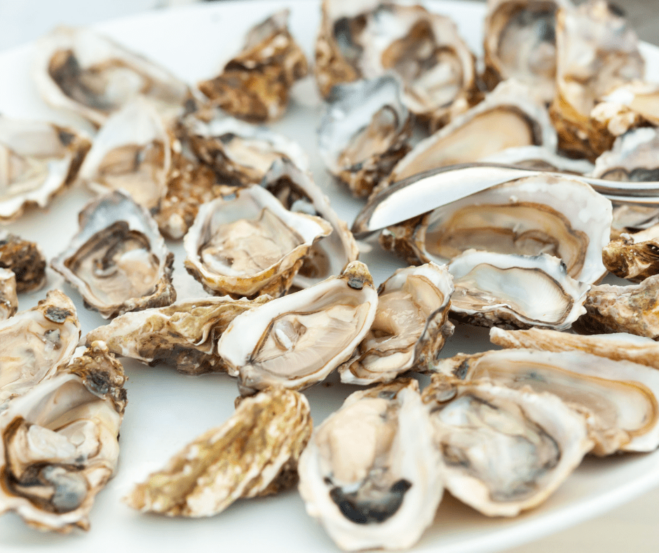 Fresh-Oysters